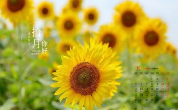 2024小班10月份工作计划8篇