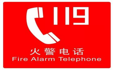 2024年幼儿园119消防日活动方案最新5篇