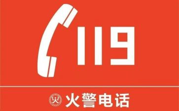 幼儿园119消防安全日活动方案8篇