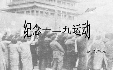 小学129活动总结优质5篇