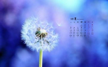 12月教师工作月总结6篇
