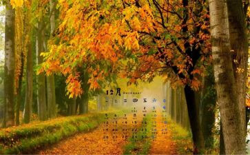 学生会12月计划7篇