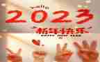 2023年培训个人总结通用8篇