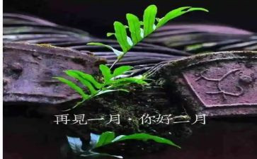 2月份的工作总结5篇