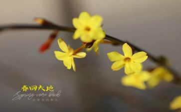 2月党日活动心得体会5篇