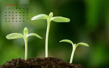 2月小班工作计划6篇
