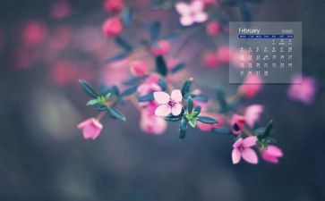 中班2月份工作计划8篇