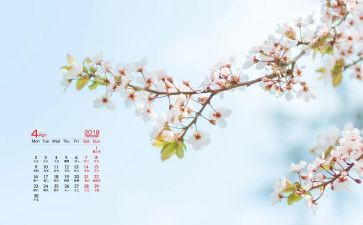 小班4月份周工作计划6篇