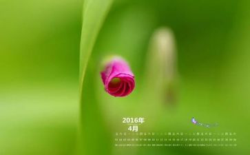 保洁4月工作计划6篇