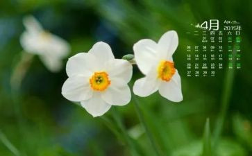 小班4月份的工作计划8篇