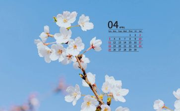4月份销售工作计划7篇