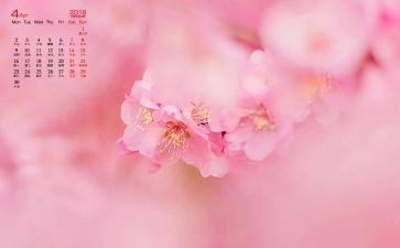 幼儿园4月份工作计划8篇