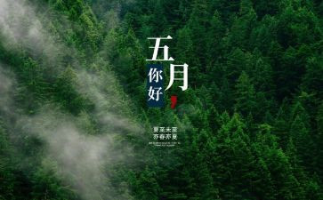幼儿园5月安全总结6篇