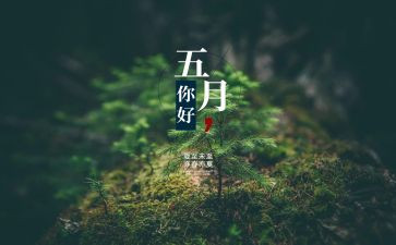 5月销售工作总结最新6篇