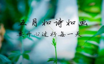 幼儿小班5月份工作总结7篇