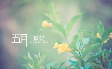 5月安全工作总结优秀5篇