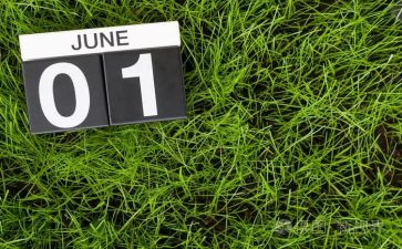 幼儿教师6月工作总结8篇
