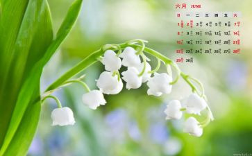 6月份幼儿园工作总结最新5篇