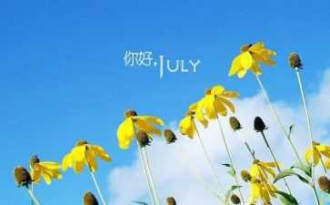 矿6月安全生产月活动方案7篇