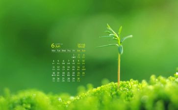 6月的工作总结模板8篇