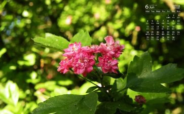 6月安全生产月活动总结模板8篇