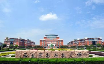 985工程师工作计划优质6篇