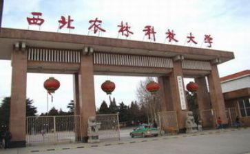 985工程师工作计划精选6篇