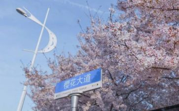 985工程师工作计划参考7篇