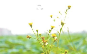 9月总结推荐7篇