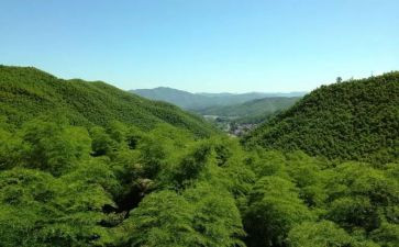 赴安吉心得体会6篇