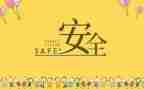 安全自查报告模板8篇