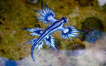初一生物调查报告8篇