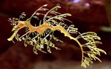 生物学实验心得8篇