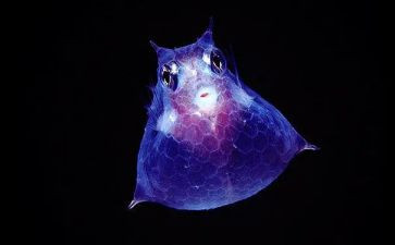 生物实验室工作总结优秀7篇