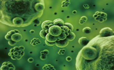 高中生物教研计划7篇