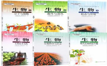 高中生物教师总结优质6篇