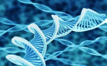 生物的特征教案5篇