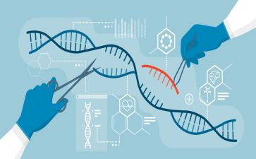 生物年度工作计划6篇