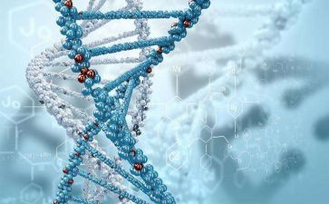 高中生物教师个人年度总结5篇