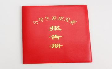 调查报告册模板8篇