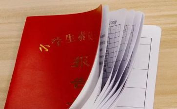 述职报告册自我总结7篇