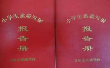 调查报告册模板推荐6篇
