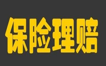 保险的年底总结报告8篇