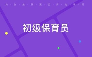 关于保育的心得体会6篇