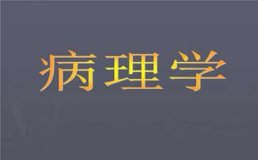 病理室工作计划7篇