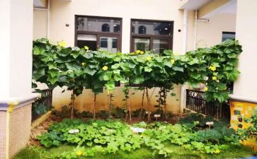 租蔬菜大棚合同8篇