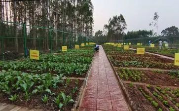 妈妈做的菜一年级作文最新7篇