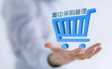 2024年采购部工作总结范文6篇
