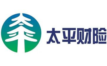 财险公司工作总结6篇