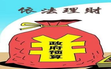 2024年财政所工作总结及工作计划5篇